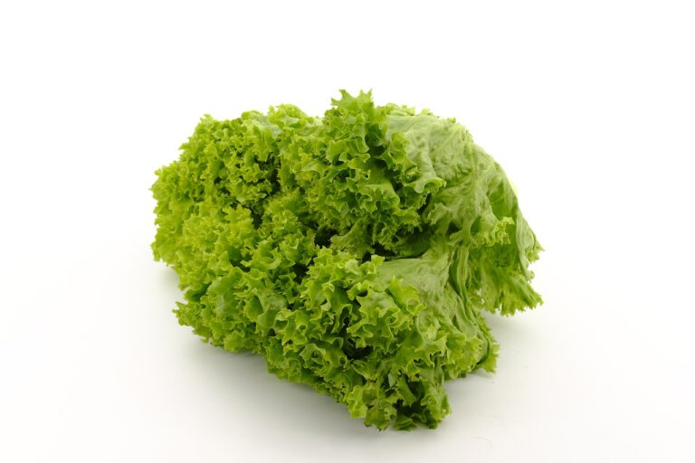 cele mai bune salate din lume
