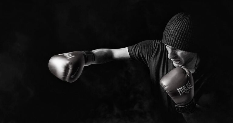 cele mai bune boxe profesionale