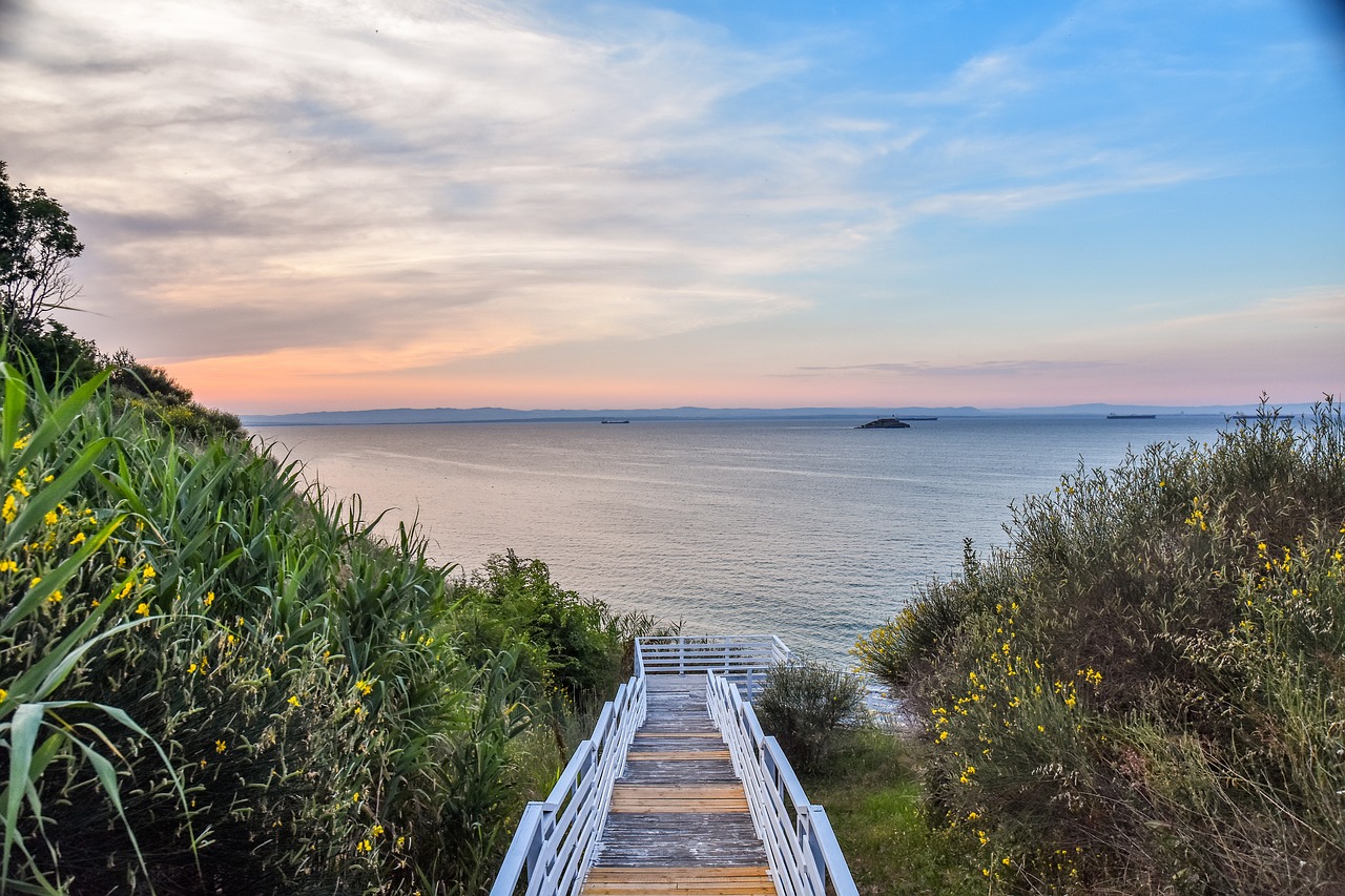 cele mai bune combinatii de creme pentru tort