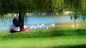 cele mai bune centrale