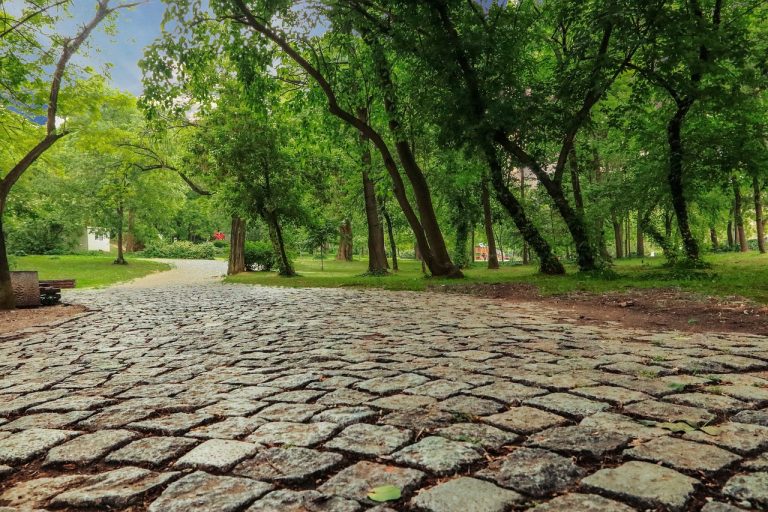 cele mai bune tablete 2024