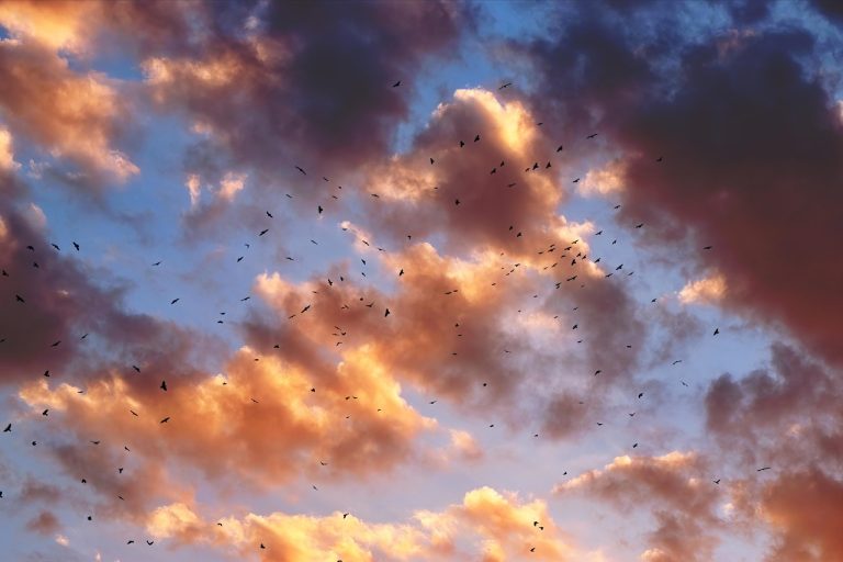 cele mai ieftine suzuki vitara