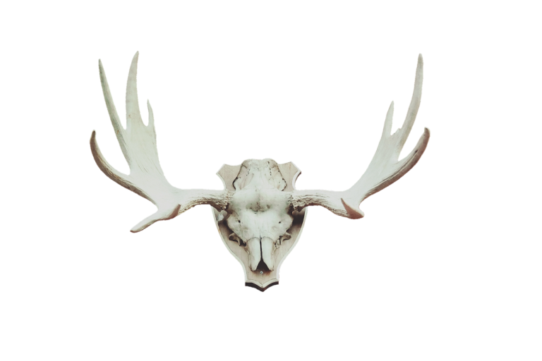 jack nicholson premii