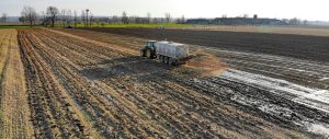 ingrasamant natural pentru orhidee