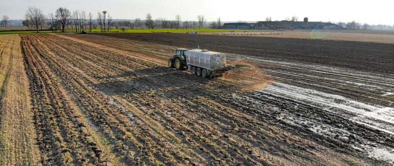 ingrasamant natural pentru orhidee