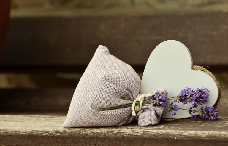 ingrijire lavanda ghiveci
