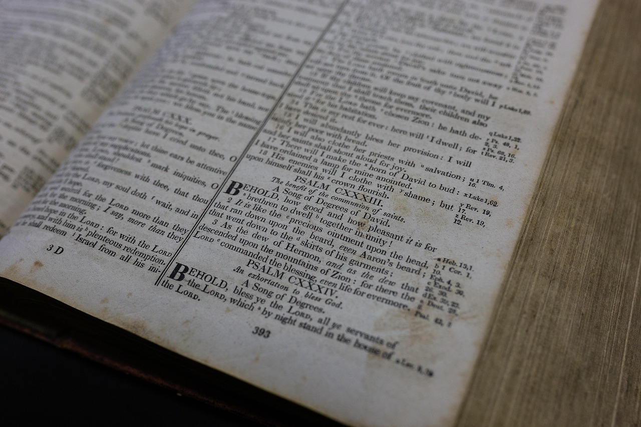 cele mai tari replici de ras